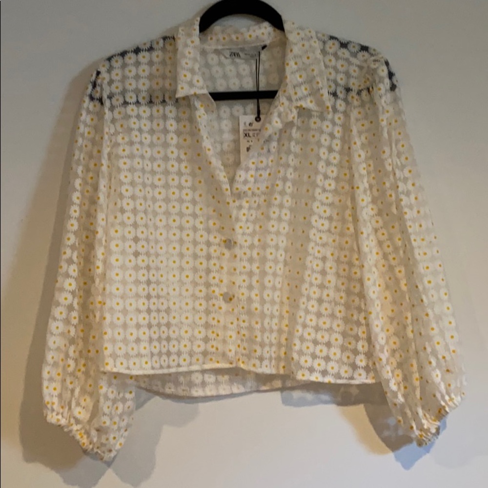 Zara Daisy Floral Organza Blouse